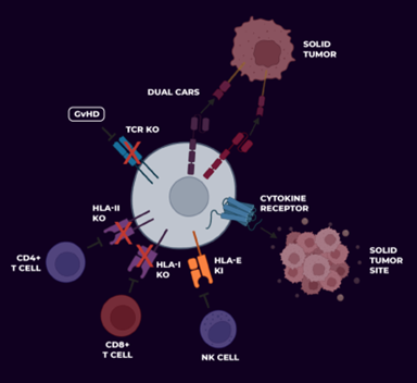 武田再度加码“被抛弃”的细胞疗法，CAR-NK或将在2029问世